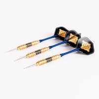 Steeldart Steel Dart Pfeile Keltik Dragon in 19g + 21g