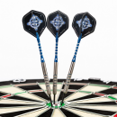 Steeldart Steel Dart Pfeile Keltik The Lance 80% Tungsten in 22g + 24g