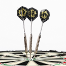 Steeldart Steel Dart Pfeile Keltik Karadoc in 20g + 23g