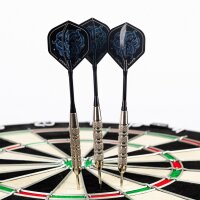 Steeldart Steel Dart Pfeile Keltik Fintan 23 g