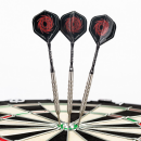 Steeldart Steel Dart Pfeile Keltik Carnac 80% in 24g + 26g