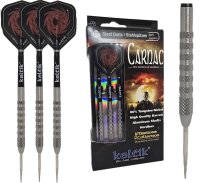 Steeldart Steel Dart Pfeile Keltik Carnac 80% Tungsten in...