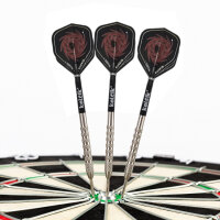 Steeldart Steel Dart Pfeile Keltik Carnac 80% Tungsten in 24g + 26g