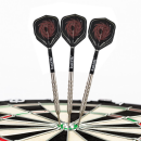 Steeldart Steel Dart Pfeile Keltik Carnac 80% Tungsten in 24g + 26g