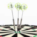 Steeldart Steel Dart Pfeile Keltik The Pulse Caliber 01  80% in 21g + 23g