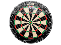Keltik Ravencore Dartboard Set mit 2 Satz Steeldarts