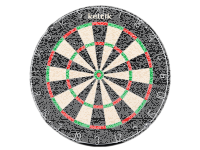 Keltik Ravencore Dartboard Set mit Dartständer