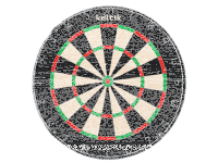 Keltik Steeldart Set Dartscheibe Dartboard und Dartmatte